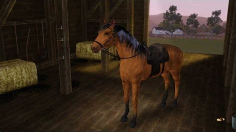 Sims 3 Pets Horse Breeds Youtube