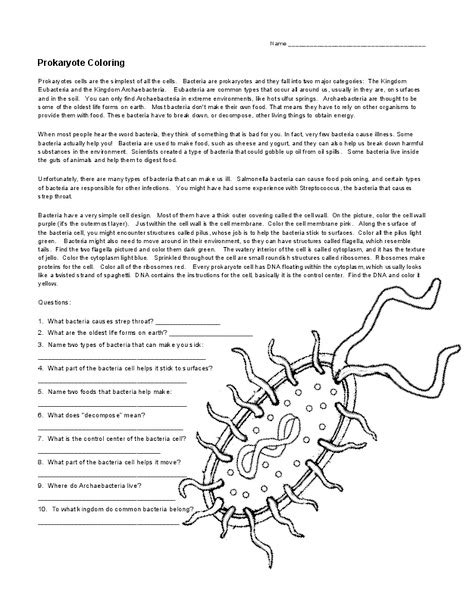 Prokaryote Coloring Worksheet For 7th 9th Grade Lesson Planet