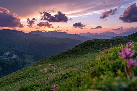 Landscape Nature Flowers Sunset Grass Mountains Slopes Hd