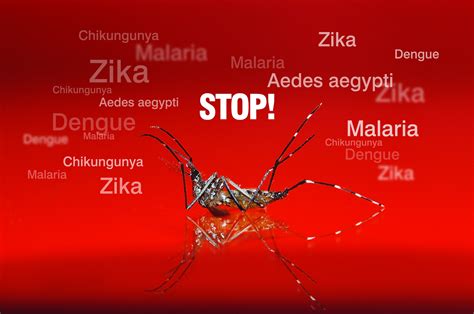 What is a Vector Borne Disease? - MosquitoNix®