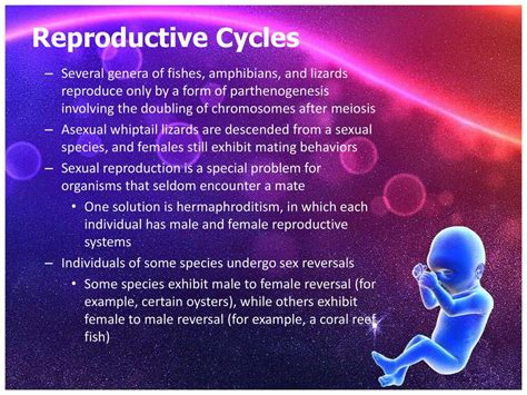 Animal Reproduction Ppt Download