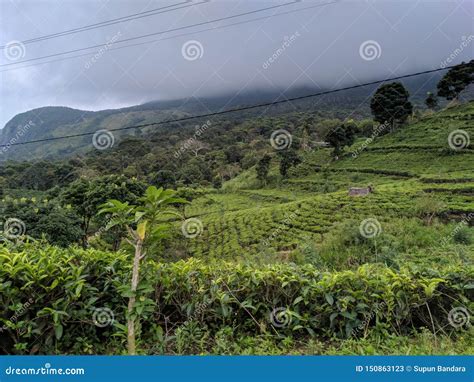 Natural Beauty Of Sri Lanka Stock Image Image Of