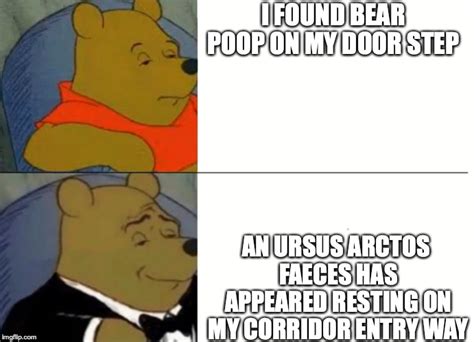 See, rate and share the best winnie the pooh memes, gifs and funny pics. Fancy Winnie The Pooh Meme - Imgflip