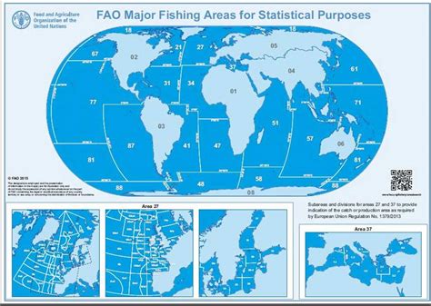 A wide range of quality products originating from the fao27 zone with the assurance of responsible and sustainable fishing. Do you know where the fish on your plate comes from ...