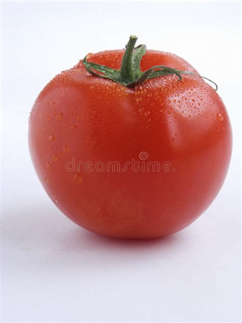 Rotten Tomato 2 Stock Image Image Of Rotten Fruits Perish 1541695