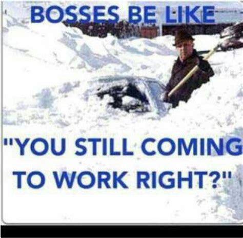 Bosses Be Likeyou Still Coming To Work Right Boss Humor Work