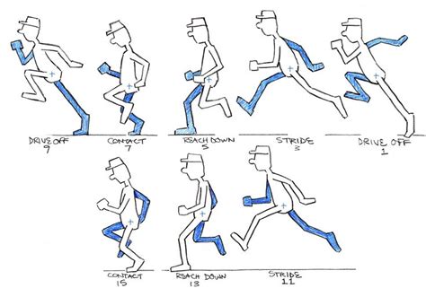 Walk Cycle In This Lesson We Looked At Making Walk Cycles In After