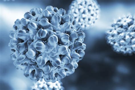 Asl 2017 clinical practice guidelines on the management of hepatitis b virus infection. Looking for new mechanisms to cure hepatitis B | Evaluate