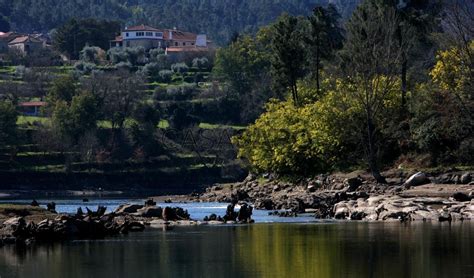 Quinta Venda 3000000 € Em Mangualde Mangualde Mesquitela E Cunha Alta Casa Sapo Portal