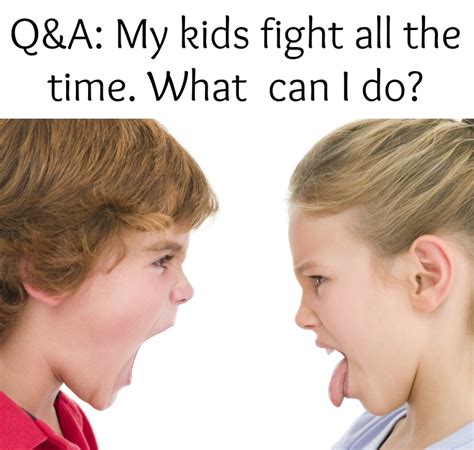 Qanda My Kids Fight All The Time What Can I Do