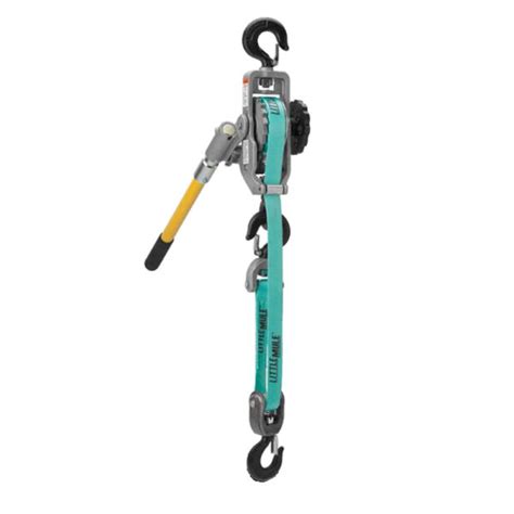 Wagner Smith Equipment Co 250a Strap Hoist