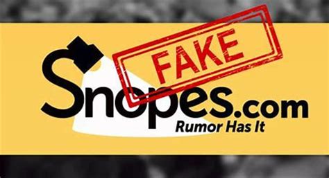 Snopes And Dopes Snopes Retracts Dozens Of Articles After Review Finds Co Founder Plagiarized