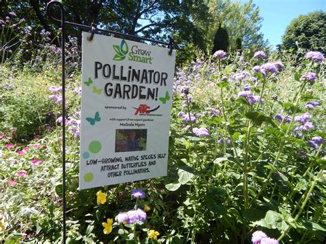 Pollinator Garden Design Ontario