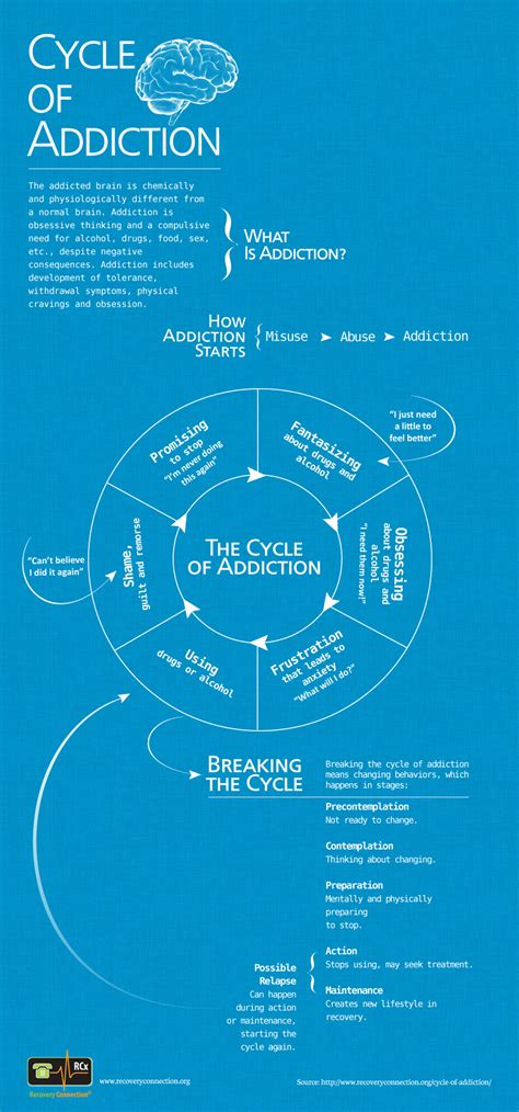 Cycle Of Addiction Infographic By Recovery Connection