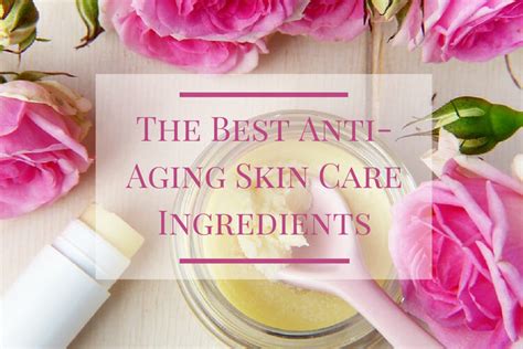 The Best Anti Aging Skin Care Ingredients Skincare Hunting