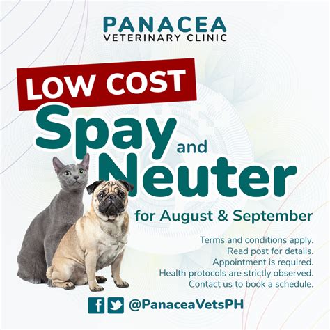 Low Cost Spay Neuter Clinic For Pets Comes To Cathedral 49 Off