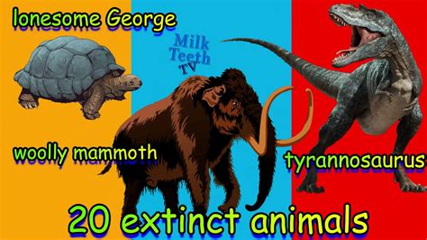 20 Extinct Animals Names With Pictures And Details Every Smart Kid And