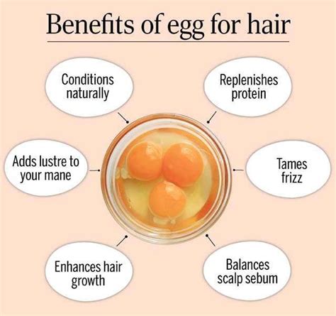 6 Beauty Benefits Of Eggs For Hair Care Egg Benefits Egg