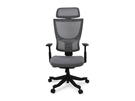 FlexiSpot Back Support Office Chair Indybest 