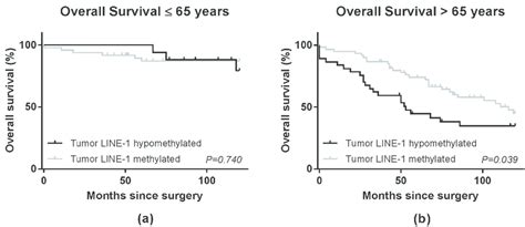 Survival Curves For Overall Survival In Colon Cancer Stage Ii Patients
