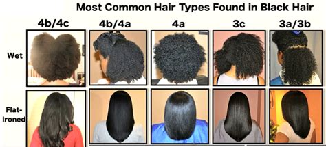 Hair Type Chart Natural Hair Types Pelo Natural Natural Hair Journey
