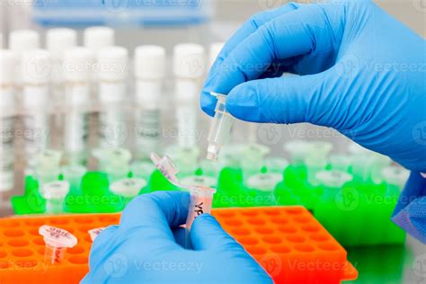 Closeup Of Scientist Hands While Extracting Dna Using The Spin Column Based Nucleic Acid