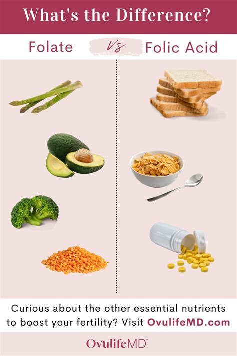 This Infographic Shows The Difference Between Folate Rich Foods And
