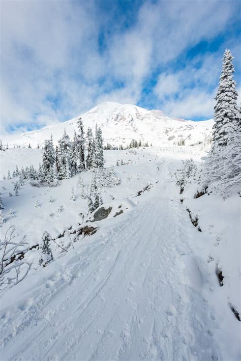 A Path Cover With Snow In Paradise Areascenic View Of Mt Rainier