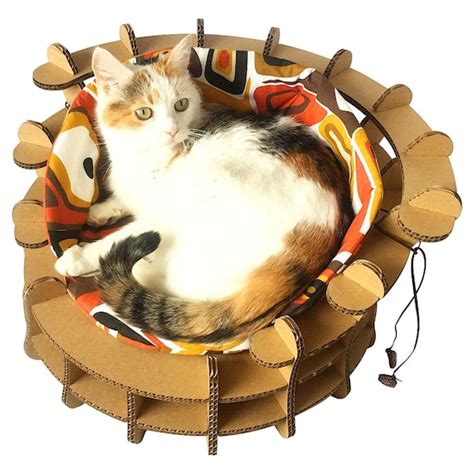 Colliseum Cat Bed Unique Cat Furniture Cat Toy Unique Cat
