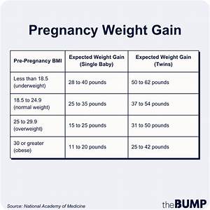 Average Postpartum Weight Loss Calculator Blog Dandk