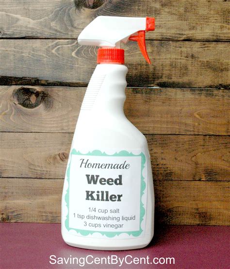 Check spelling or type a new query. 3-Ingredient Homemade Weed Killer - Saving Cent by Cent