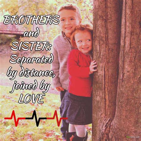 Jun 18, 2021 · don't forget to also read our collection of brother and sister quotes celebrating unbreakable bonds. Most Beautiful Quotes about brothers and sisters