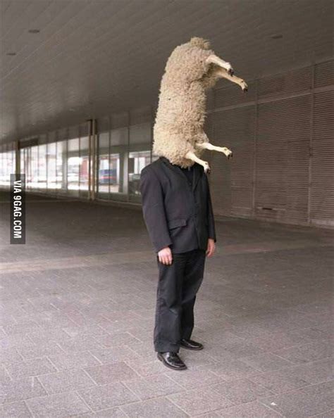 Half Sheep Half Man 9gag