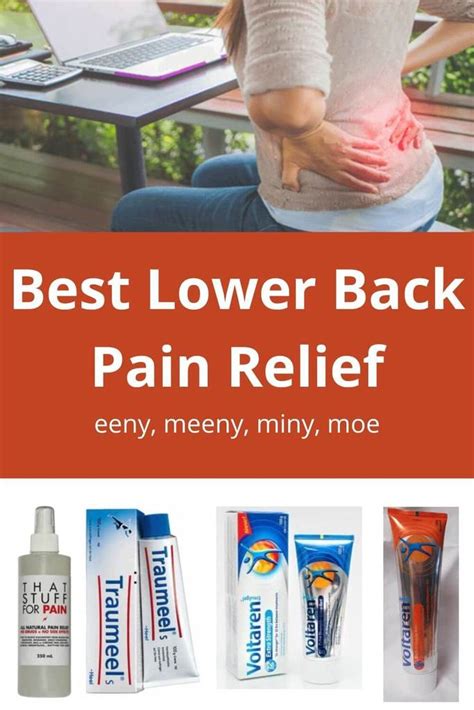 Review Best Lower Back Pain Relief Trishs Treasure Trove Of