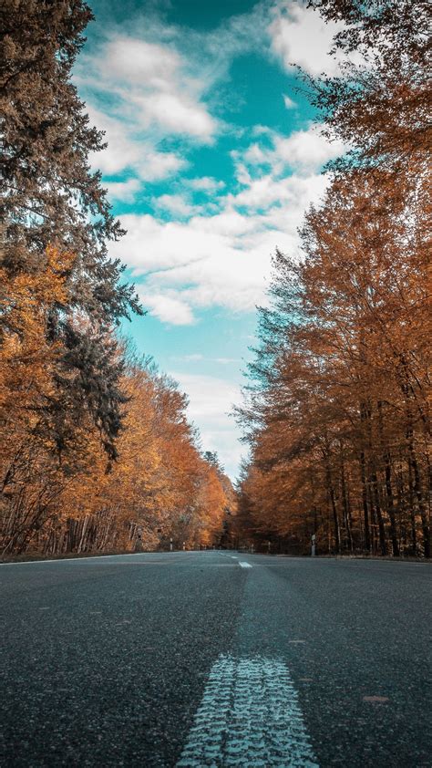 1080x1920 Alone Road Forest Autumn Golden Trees Ultra 4k Iphone 76s6