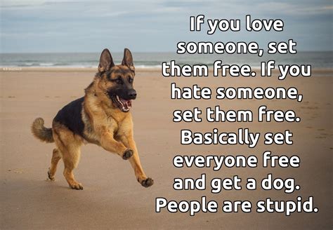 K9 Instincts Photo Animal Quotes Dog Quotes Funny Quotes Funny