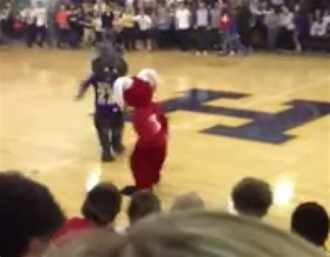 Kentucky Mascot Fight Heats Up Video