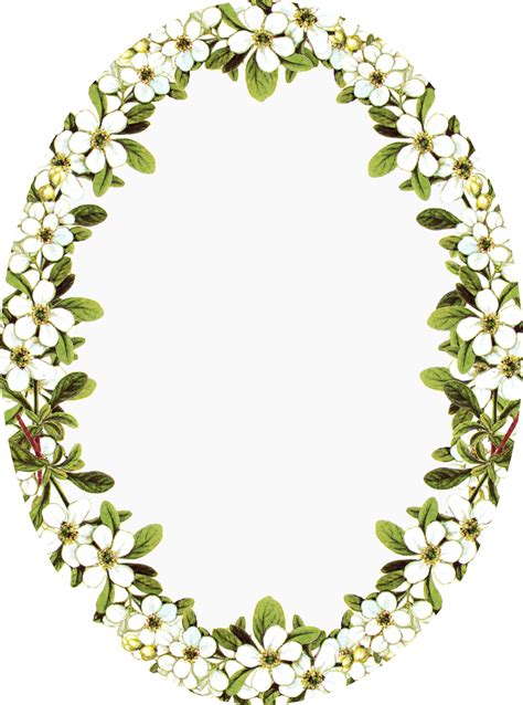 Oval Flower Frame Png My Xxx Hot Girl