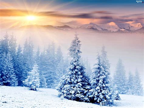 Rays Christmas Mountains Sunny Woods Beautiful Views Wallpapers