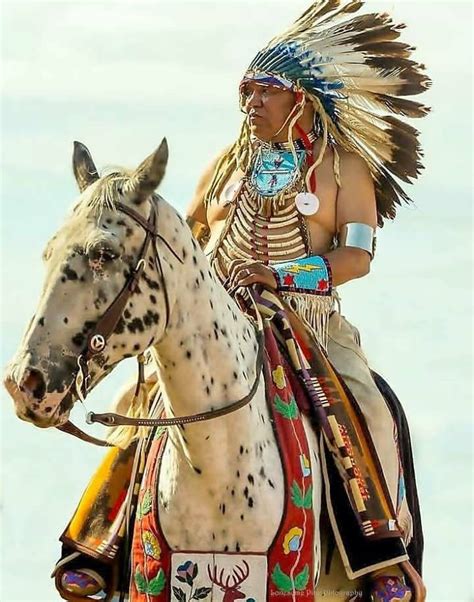 Native American Horses Native American Warrior Native American