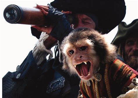 Pirates Of The Caribbean Monkey