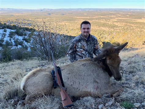 Private Land Cow Elk Hunts New Mexico Thedraw