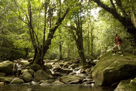 Taman Negara Gunung Gading Tourism Malaysia Blog
