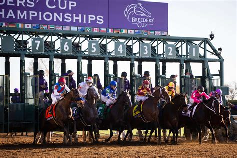 Friday's Breeders' Cup Tips | Best Bets At Del Mar | Racing Tips