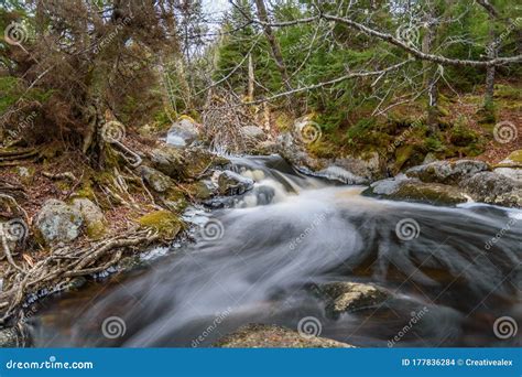 Forest Landscape With Small River Cascade Falls Over Mossy Rocks Stock
