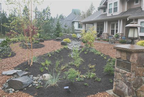 40 Low Maintenance Front Yard Ideas No Mow And Less Water