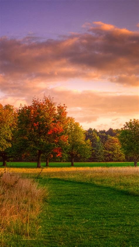 Nature Landscape Autumn Sunrise Forest Clouds Iphone X 876543gs
