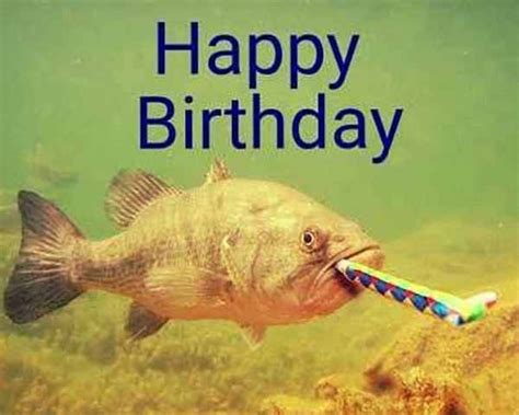 Happy Birthday Fish Meme Birthdayzj