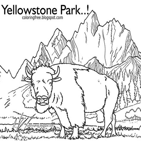 Update 156 National Park Drawing Vn