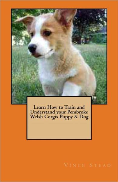 Learn How To Train And Understand Your Pembroke Welsh Corgis Puppy